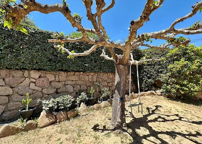 De Charme Porto-vecchio, A 10 Min *